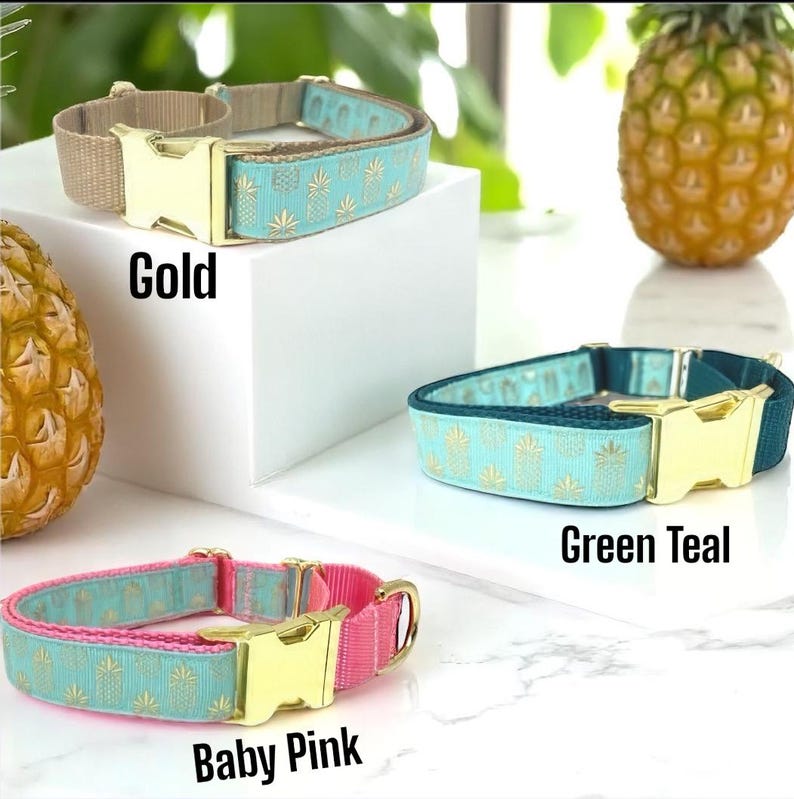 Ananas, Martingale Halsband, Schnalle, Hundehalsband Mädchen, Junge, Welpen Halsband, personalisiert, graviert, Individuell, Designer, süßer Hund, klein, groß Bild 4
