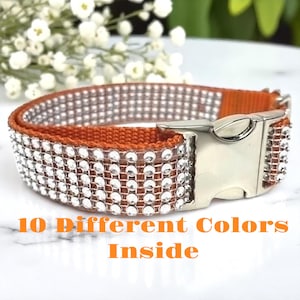 Diamantes de imitación, naranja, calabaza especiada, diamantes de imitación, collar de perro, brillo, deslumbrante, perrita, collar de boda, personalizar, grabar, personalizado