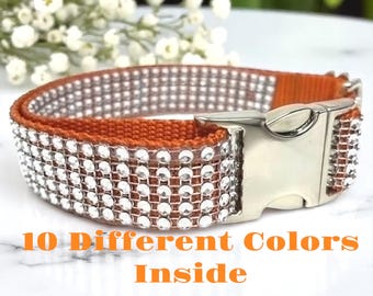Puede incluir: Un collar de nailon naranja con cinco filas horizontales de pedrería transparente reflectante y una hebilla de liberación lateral de metal plateado. El texto "10 Different Colors Inside" está impreso en naranja en la parte inferior.