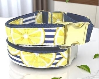 Martingale Collar, Dog Collars, Puppy Collar, Custom Dog Collar, Engraved Dog Collar, Designer Dog Collar, Girl, Boy, Large Dog Collar, Blue