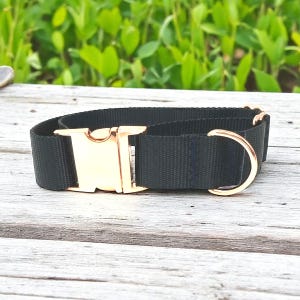 Black, Custom, Dog Collar, Girl, Boy, Personalized, Engraved, Cute, Designer, Puppy, Cat, Pet, Small, Medium, Large, Fashion, Rose Gold