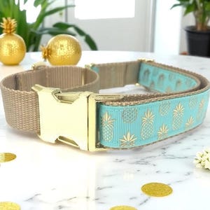 Pineapple, Martingale Collar, Buckle, Dog Collar Girl, Boy, Puppy Collar, Personalized, Engraved, Custom, Designer, Cute Dog, Small, Large