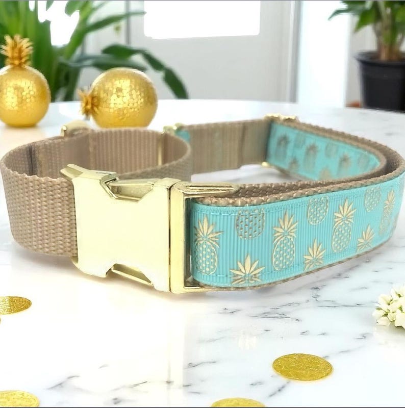 Ananas, Martingale Halsband, Schnalle, Hundehalsband Mädchen, Junge, Welpen Halsband, personalisiert, graviert, Individuell, Designer, süßer Hund, klein, groß Bild 1