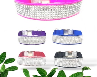 Bling, Rhinestone, Custom, Dog Collar, Girl, Boy, Personalized, Engraved, Cute, Designer, Puppy, Cat, Pet, Small, Medium, Large, Sparkle