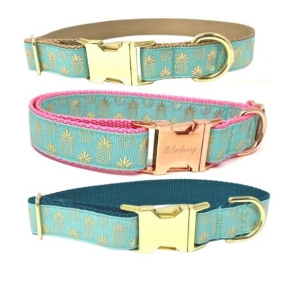 pineapple dog collar