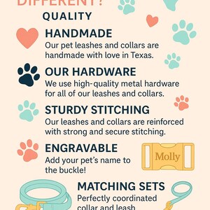 Ananas, Martingale Halsband, Schnalle, Hundehalsband Mädchen, Junge, Welpen Halsband, personalisiert, graviert, Individuell, Designer, süßer Hund, klein, groß Bild 8
