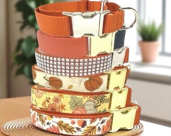 Rhinestone, Buckle, Martingale, Dog Collar, Fall, Orange, Sparkle, Bedazzled, Girl Dog, Wedding Collar, Personalized, Engraved, Custom