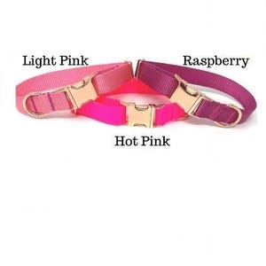 May include: Three dog collars in different shades of pink. The collars are made of nylon webbing with a gold metal buckle. The collars are labeled "Light Pink", "Hot Pink", and "Raspberry".