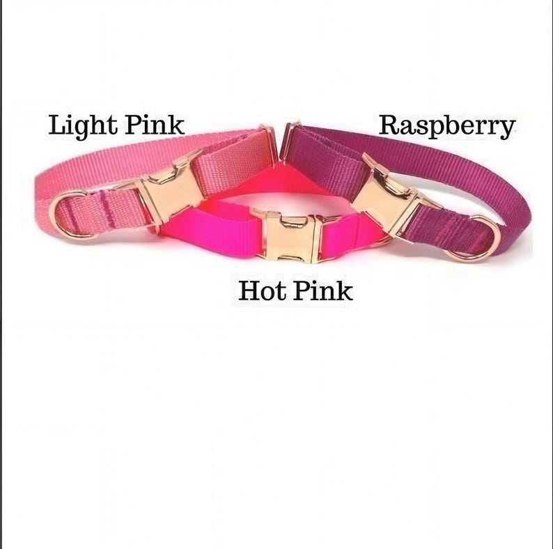 May include: Three dog collars in different shades of pink. The collars are made of nylon webbing with a gold metal buckle. The collars are labeled "Light Pink", "Hot Pink", and "Raspberry".