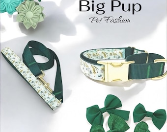 Collar para perro, collar Martingala, hebilla, niña, hembra, personalizado, grabado, collar para cachorro, verde, bonito, pequeño, grande