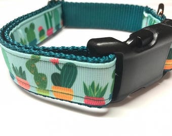 Todos los tamaños: Collar para perro verde con cactus y suculentas en tamaño mediano, grande y extra grande.