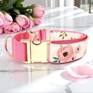Collare per cani Martingale, ragazza, rosa, oro rosa, floreale, collare per cuccioli, collare personalizzato, collare inciso, personalizzabile, carino, femmina, 1,5&quot; di larghezza