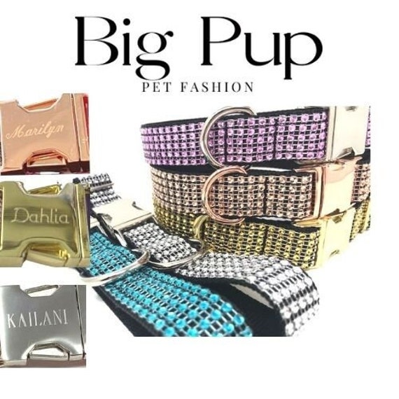 bedazzled dog collar