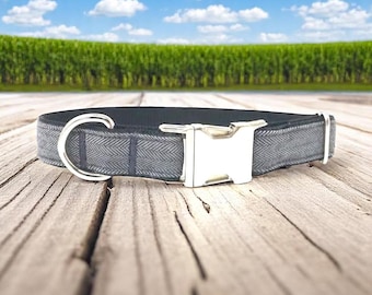 Dog Collar Boy, Grey, Collars, Custom Dog Collar, Small Dog Collar, Engraved Dog Collar, Designer Dog Collar, Large Dog Collar, Personalized