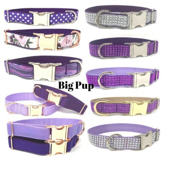 Buy Personalized Dog Collar the Louie in Cyclone Gray Online in