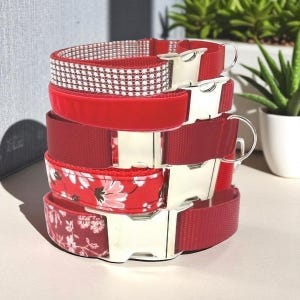 Coleira Martingale com fivela vermelha para cachorro, menina, veludo, floral, strass, personalizada, filhote, gravada, designer, galgo, personalizada, whippet