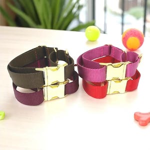 Collare per cani Martingale, con fibbia, rosso, marrone, collare per cani bambina, collare per cani bambino, collare per cani personalizzato, collare per cani inciso, collare per cani personalizzato, collare per cuccioli, taglia grande