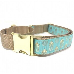 Ananas, Martingale Halsband, Schnalle, Hundehalsband Mädchen, Junge, Welpen Halsband, personalisiert, graviert, Individuell, Designer, süßer Hund, klein, groß Bild 2