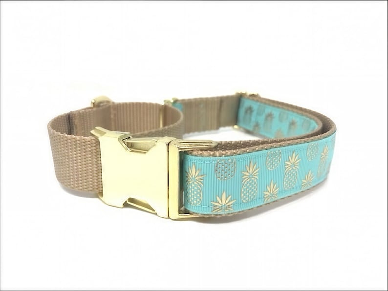 Ananas, Martingale Halsband, Schnalle, Hundehalsband Mädchen, Junge, Welpen Halsband, personalisiert, graviert, Individuell, Designer, süßer Hund, klein, groß Bild 2