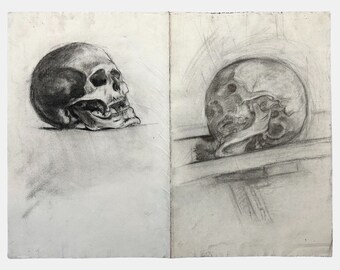Boceto realista francés antiguo a carboncillo de doble cara de calaveras/busto romano