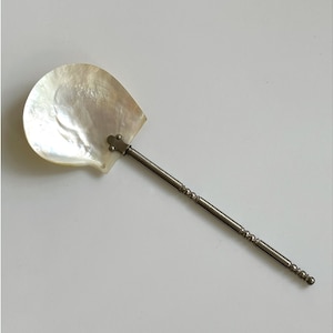Antique Abalone Mother of Pearl Spoon with Ornate Metal Handle