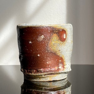 Copa Jeff Shapiro Yunomi (hacia 1990)
