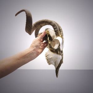 Golden Warrior, created by Efthimia • Real Goat Skull with Horns
