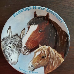 A Limited Edition Plate, This plate is No 868, collectible plate, Redwings Horse Senctuary, produced by Grays Aldridge, England