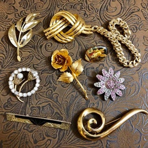 Vintage Assortment Brooches                              119