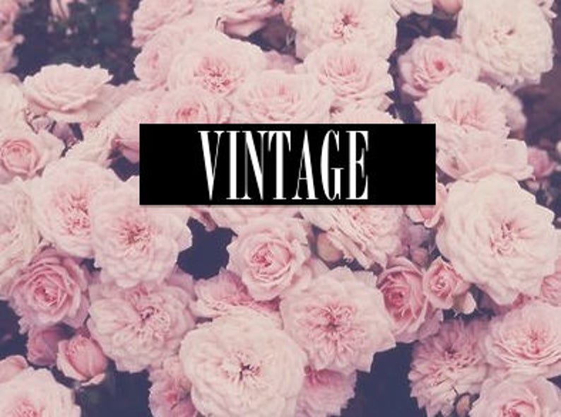 May include: A close-up image of a cluster of pink roses with the word "VINTAGE" in black text on a black background.