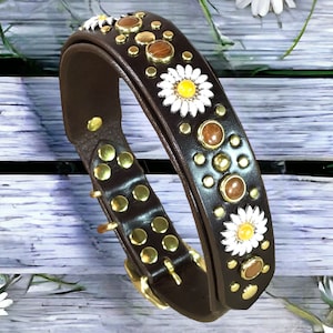 Personalized Dog Collar, Designer Dog Collar, Fancy Dog Collar
