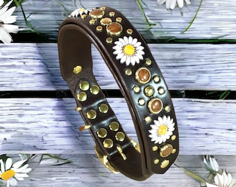 Personalized Dog Collar, Designer Dog Collar, Fancy Dog Collar
