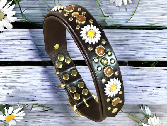 Personalized Dog Collar, Designer Dog Collar, Fancy Dog Collar