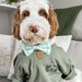 see more listings in the Custom Dog Embroidery section
