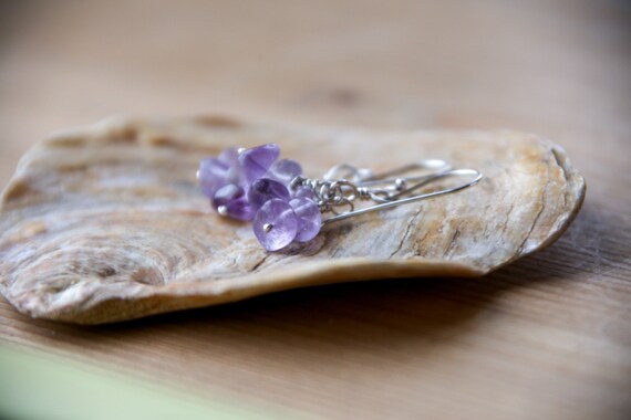 Beautiful Ametrine cluster earrings on sterling silver earwires