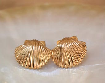 Seashell earrings