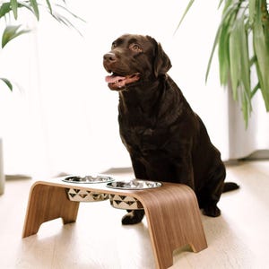 Könnte beinhalten: Ein brauner Labrador Retriever sitzt neben einem erhöhten Holzfutter- und Wassernapfständer. Der Ständer hat zwei Edelstahlnäpfe mit einem geometrischen Muster.