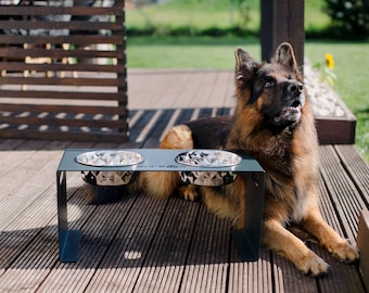 Elevated Dog Bowl Stand for Large Dogs | Modern Metal Feeder