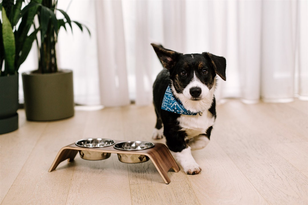 Hunters Dog Food and Water Bowl Stand, Elevated Feeder for Small Size