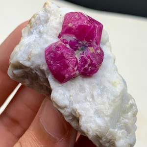 May include: A cluster of vibrant, deep red ruby crystals is set against a backdrop of white, textured rock. The raw, natural gemstones exhibit a rich color and crystalline structure, showcasing the beauty of natural minerals.