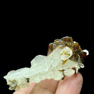 19 Grams stunning Brookite crystals on Faden Quartz from Baluchistan Pakistan, 54*30*22 mm