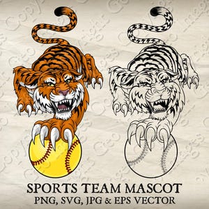 Tiger Softball Mascot Prowling With Softball Ball in Claws Mascot Angry Tigers Cartoon. Vector SVG, EPS, PNG, Jpeg