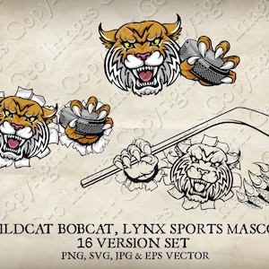 Wildcat Hockey Mascote Bobcat Cougar Lynx Lion Ice Hockey Mascote Wildcats Bobcats Cougars Logo Desenho Animado 16 Versões Vetor SVG, EPS, PNG, Jpeg