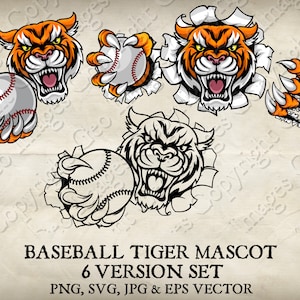 Tijger houdt honkbal in klauwen mascotte boze tijgers gezicht cartoon logo 6 versies. Gescheurd door de achtergrond. Vector-SVG, EPS, PNG, JPEG