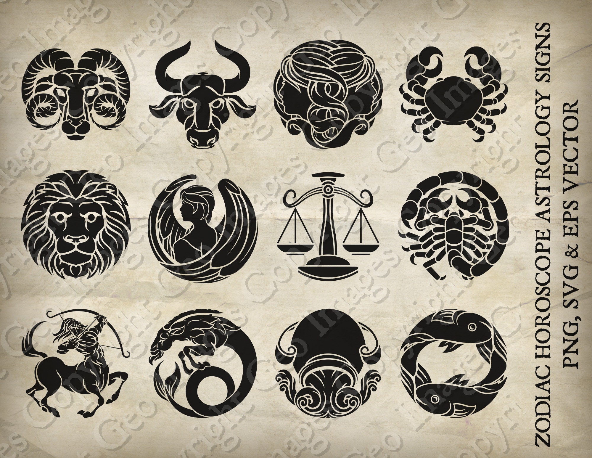 Zodiac sign. Astrological horoscope collection. Vector