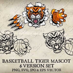 Tiger Holding Basketball Ball in Claws Mascot Angry Tigers Face Cartoon in 6 Versions. Ripped Through Background. Vector SVG, EPS, PNG, Jpeg