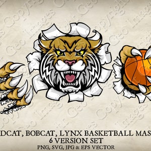 Wildcat Bobcat Cougar Lynx Lion Holding Basketball Ball Mascot Wildcats Bobcats Cougars Logo Cartoon. 6 Versions. Vector SVG, EPS, PNG, Jpeg