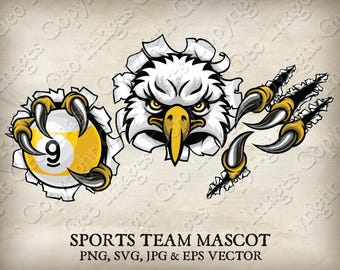 American Bald Eagle, Hawk Falcon Bird Pool Biljart Mascotte 9 Ball Pool Eagles Hawks Falcons Sportteam Logo Cartoon 6 Set SVG EPS PNG Jpeg