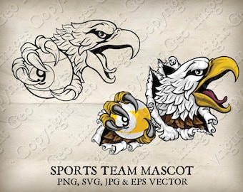 American Bald Eagle, Hawk Falcon Bird Pool Biljart Mascotte 9 Ball Pool Eagles Hawks Falcons Sportteam Logo Cartoon 6 Set SVG EPS PNG Jpeg