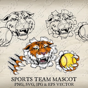 Tiger Softball Mascot Ball in Claws Angry Tigers Sports Team Logo Face Cartoon Logo 6 Set Ripped Through Background Vector SVG EPS PNG Jpeg